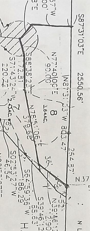 tbd Sassafras, Remus, MI 49340 photo 13