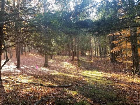 tbd Sassafras, Remus, MI 49340 photo 2