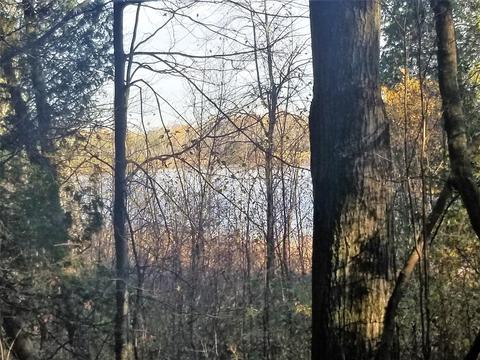 tbd Sassafras, Remus, MI 49340 photo 3