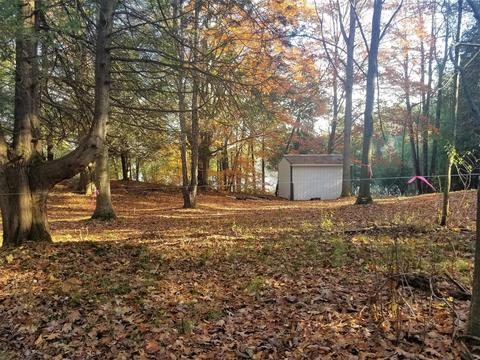 tbd Sassafras, Remus, MI 49340 photo 17