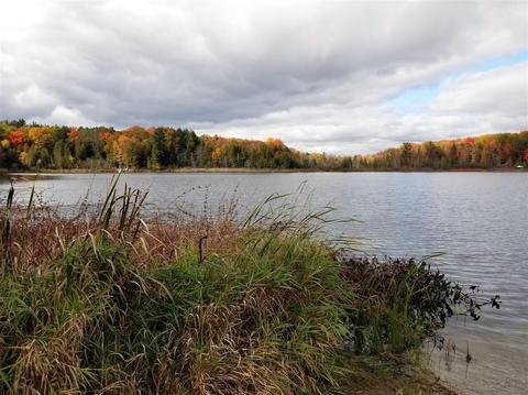 tbd Sassafras, Remus, MI 49340 photo 7