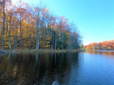 Vl S Eden Lake, Custer, MI 49405 photo 8