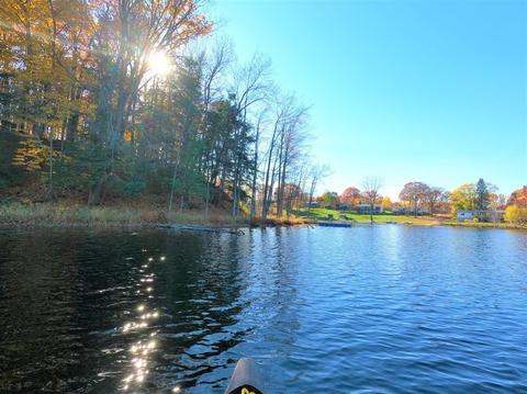Vl S Eden Lake, Custer, MI 49405 photo 10