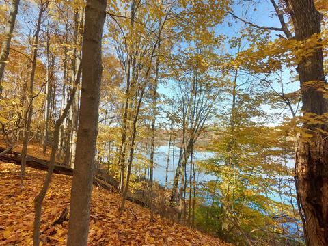 Vl S Eden Lake, Custer, MI 49405 photo 25