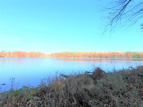 Vl S Eden Lake, Custer, MI 49405 photo 19