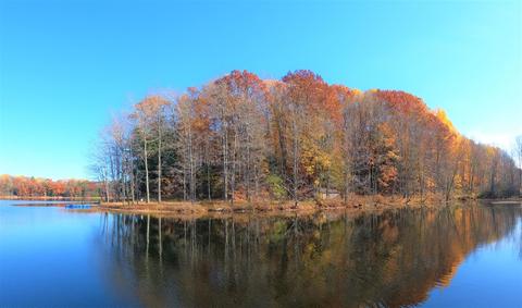 Vl S Eden Lake, Custer, MI 49405 photo 5