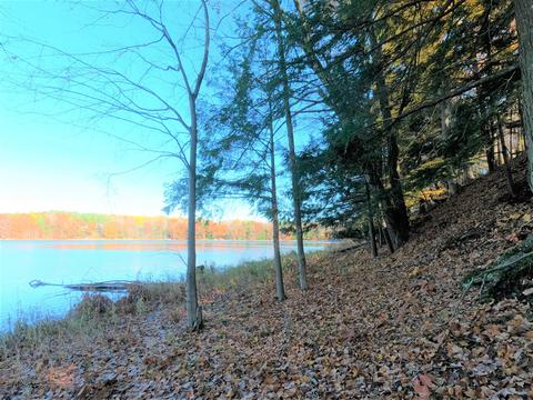 Vl S Eden Lake, Custer, MI 49405 photo 18