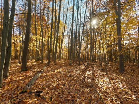 Vl S Eden Lake, Custer, MI 49405 photo 29