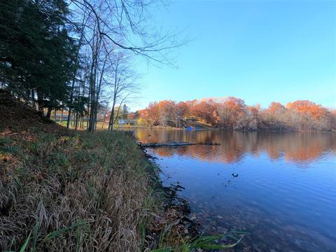 Vl S Eden Lake, Custer, MI 49405 photo 22