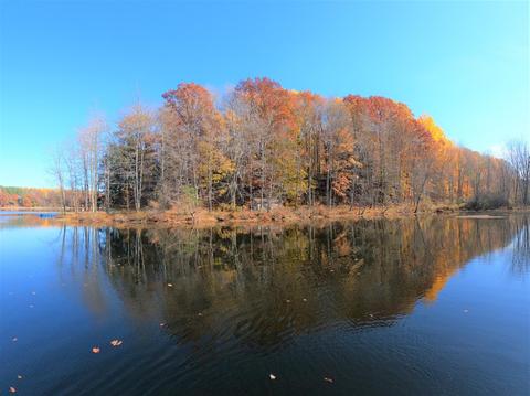 Vl S Eden Lake, Custer, MI 49405