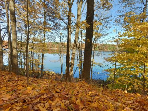 Vl S Eden Lake, Custer, MI 49405 photo 26