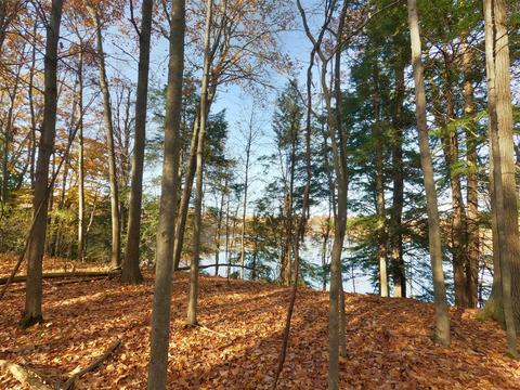Vl S Eden Lake, Custer, MI 49405 photo 28