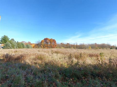 Vl S Eden Lake, Custer, MI 49405 photo 31
