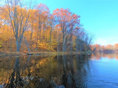 Vl S Eden Lake, Custer, MI 49405 photo 6