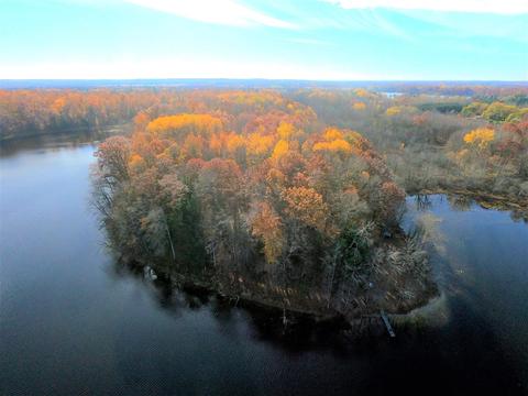 Vl S Eden Lake, Custer, MI 49405 photo 3