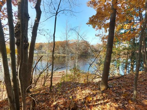 Vl S Eden Lake, Custer, MI 49405 photo 30
