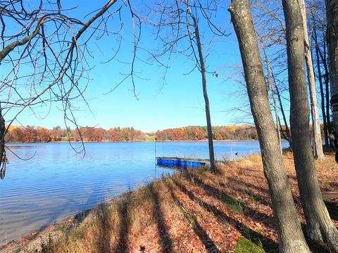Vl S Eden Lake, Custer, MI 49405 photo 13