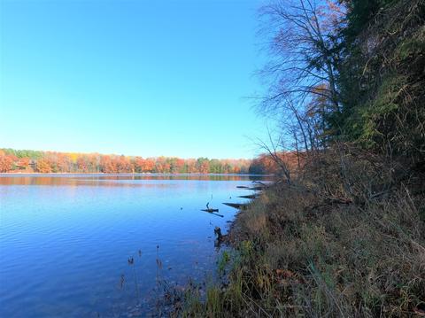 Vl S Eden Lake, Custer, MI 49405 photo 21
