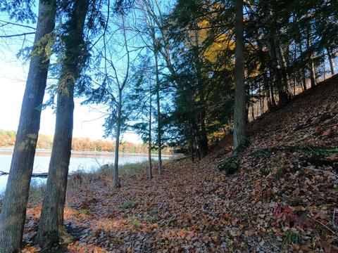 Vl S Eden Lake, Custer, MI 49405 photo 17