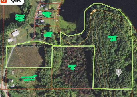 Vl S Eden Lake, Custer, MI 49405 photo 2