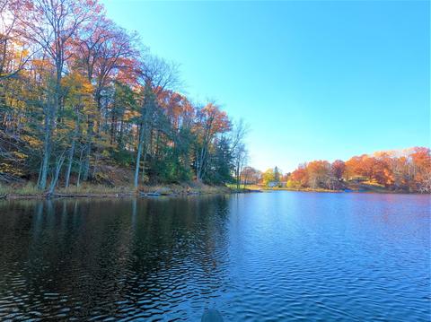 Vl S Eden Lake, Custer, MI 49405 photo 9