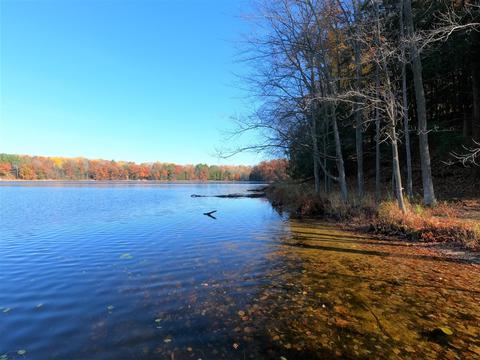 Vl S Eden Lake, Custer, MI 49405 photo 15