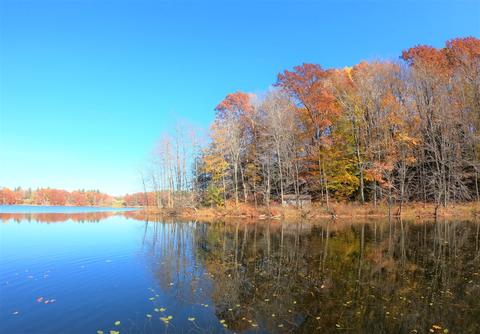 Vl S Eden Lake, Custer, MI 49405 photo 4