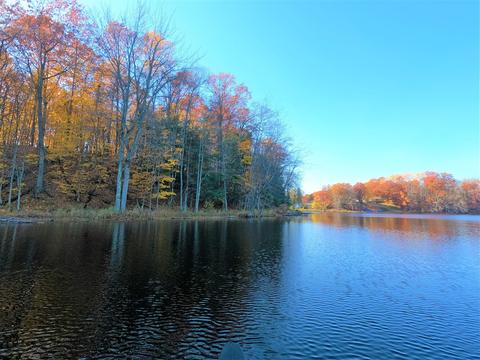 Vl S Eden Lake, Custer, MI 49405 photo 7