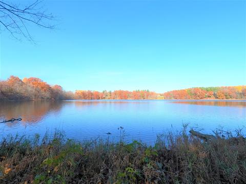 Vl S Eden Lake, Custer, MI 49405 photo 20