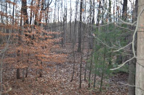 0 128th, Fennville, MI 49408