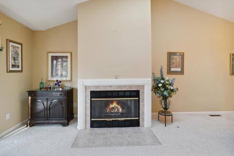 210 Chauncey Ct, Marshall, MI 49068 photo 6