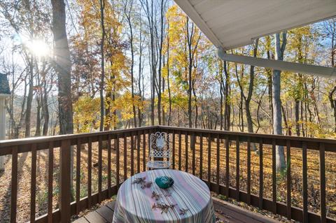 210 Chauncey Ct, Marshall, MI 49068 photo 41