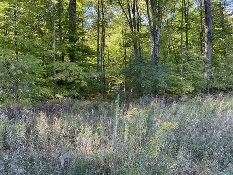 2261 N Pine Ave, White Cloud, MI 49349 photo 7