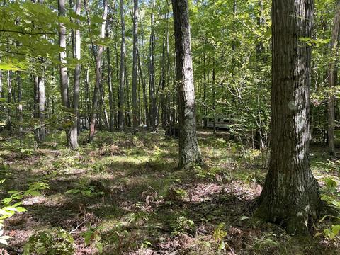 2261 N Pine Ave, White Cloud, MI 49349 photo 4