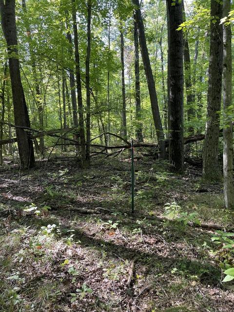 2261 N Pine Ave, White Cloud, MI 49349 photo 2