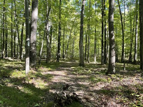 2261 N Pine Ave, White Cloud, MI 49349 photo 1