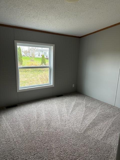 14762 E Moore, Bailey, MI 49303 photo 5