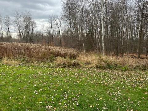 14762 E Moore, Bailey, MI 49303 photo 3