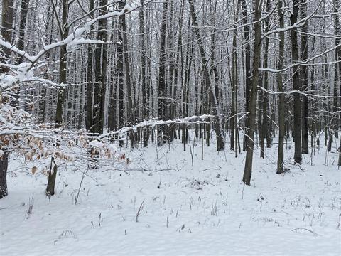 8277 Tanglewood # 219, Canadian Lakes, MI 49346