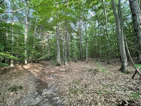 0 S Walkercardinal Court Rd #2, Fruitport, MI 49415