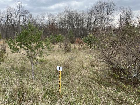 6873 Cedar Trce, Canadian Lakes, MI 49346