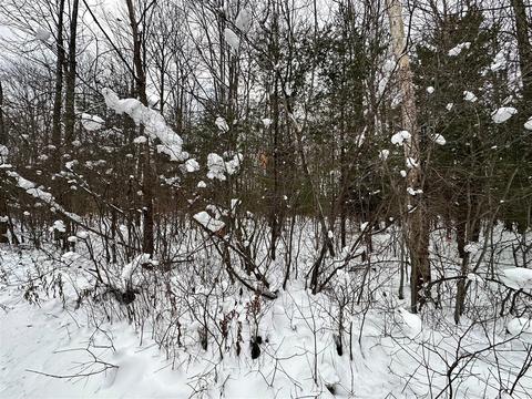 Lot 1 Bendon, Interlochen, MI 49643 photo 10