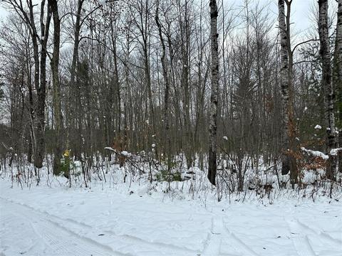 Lot 1 Bendon, Interlochen, MI 49643 photo 7