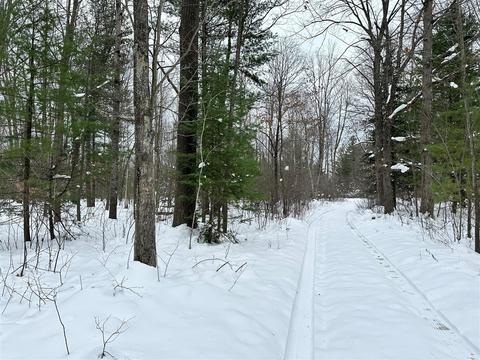 Lot 1 Bendon, Interlochen, MI 49643 photo 5