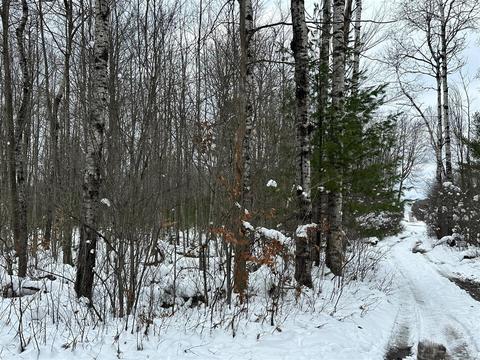 Lot 1 Bendon, Interlochen, MI 49643 photo 8