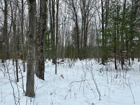 Lot 1 Bendon, Interlochen, MI 49643 photo 4