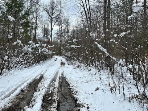 Lot 1 Bendon, Interlochen, MI 49643 photo 9