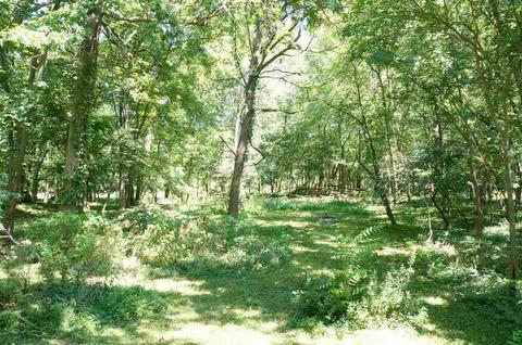 4449 Mathews Rd, Spring Arbor, MI 49283 photo 3