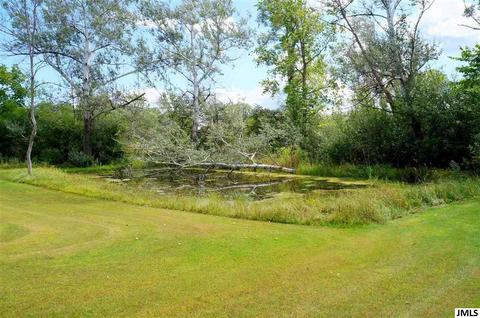7921 King Rd, Spring Arbor, MI 49283 photo 28