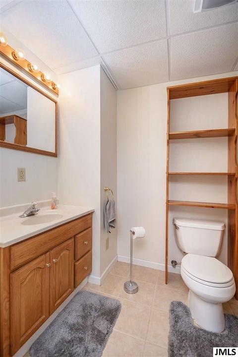 10252 Page Ave, Jackson, MI 49201 photo 25